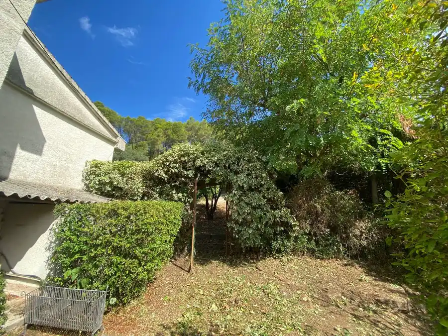 Massif d'arbustes taillés en boules le long de la façade d'une bastide, sol désherbé, passage d'entretien à Flayosc